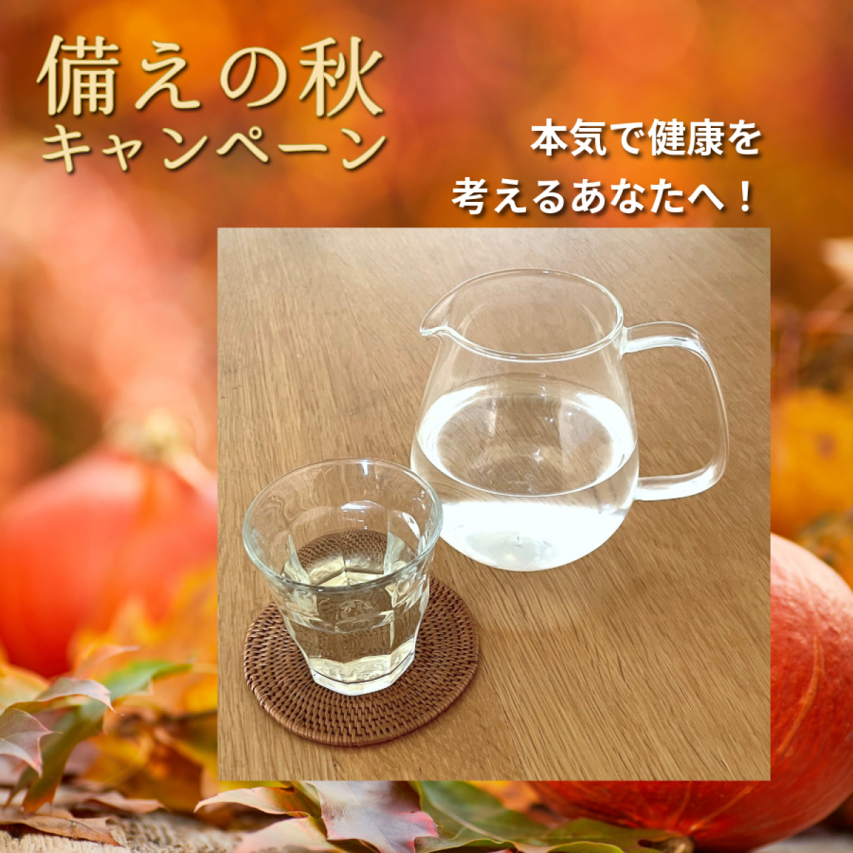 2本セットご購入で最大4本GET！】ミネラルZ βグルカン 椎茸発酵